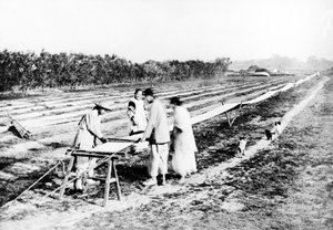中国の織工、1870-80年頃